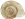 Vallonia excentricaHEDGRÄSSNÄCKA1,9 × 2,6 mm